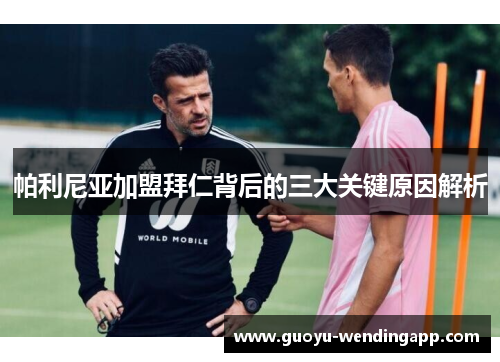 帕利尼亚加盟拜仁背后的三大关键原因解析