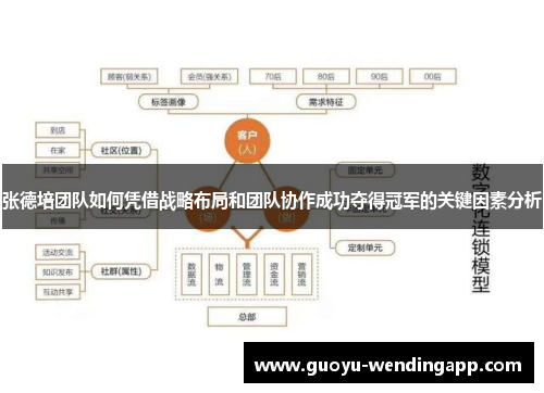 张德培团队如何凭借战略布局和团队协作成功夺得冠军的关键因素分析