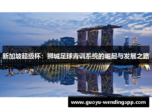 新加坡超级杯：狮城足球青训系统的崛起与发展之路
