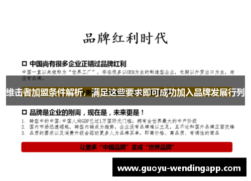 维击者加盟条件解析,满足这些要求即可成功加入品牌发展行列 维击者加盟条件解析,满足这些要求即可成功加入品牌发展行列