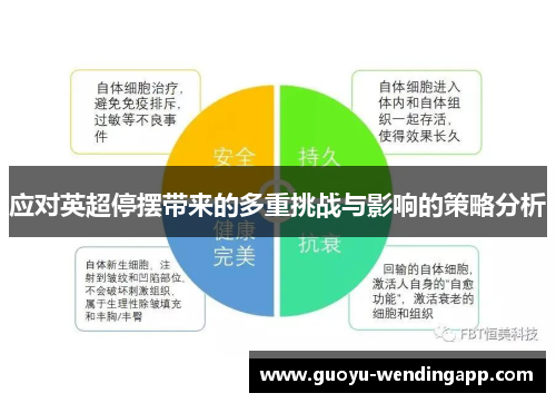 应对英超停摆带来的多重挑战与影响的策略分析 应对英超停摆带来的多重挑战与影响的策略分析