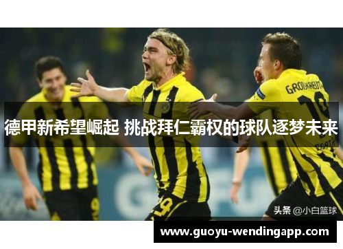 德甲新希望崛起 挑战拜仁霸权的球队逐梦未来 德甲新希望崛起 挑战拜仁霸权的球队逐梦未来