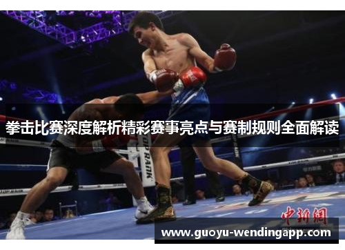 拳击比赛深度解析精彩赛事亮点与赛制规则全面解读 拳击比赛深度解析精彩赛事亮点与赛制规则全面解读