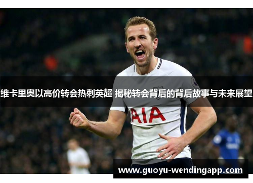 维卡里奥以高价转会热刺英超 揭秘转会背后的背后故事与未来展望