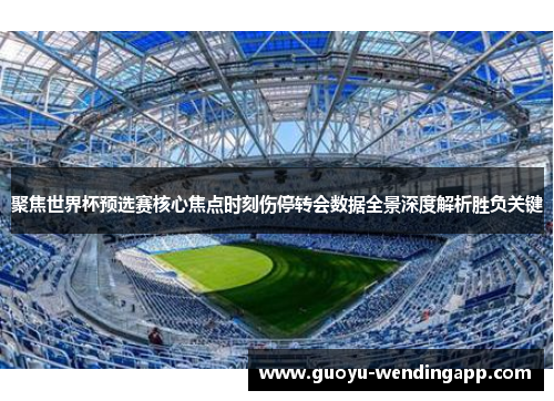聚焦世界杯预选赛核心焦点时刻伤停转会数据全景深度解析胜负关键